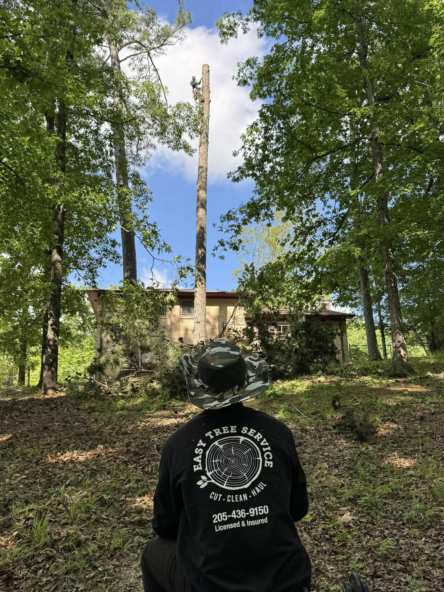 Hoover Alabama Tree Company