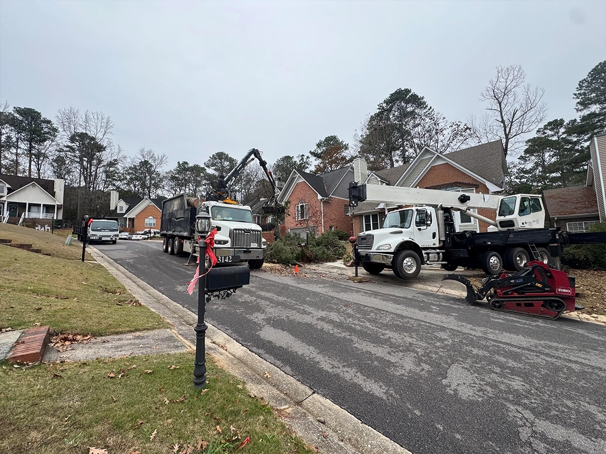 Birmingham Alabama Tree Removal