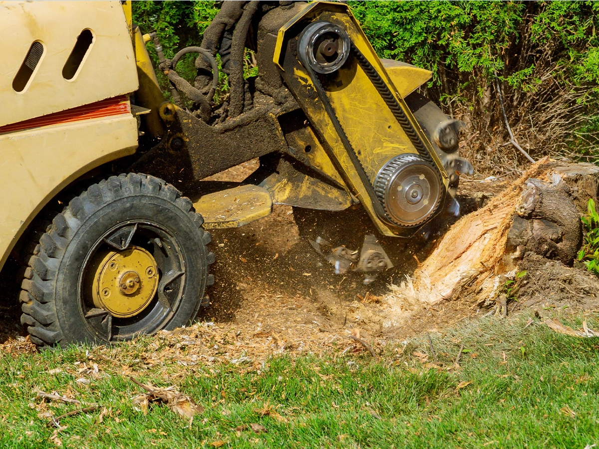Stump-Grinding-Birmingham-Alabama